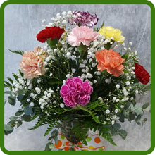 Dianthus Carnation Flower Cut Flowers