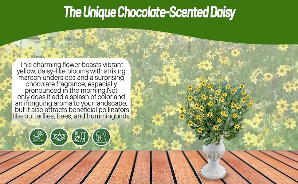 Chocolate Cut Flowers in Vase