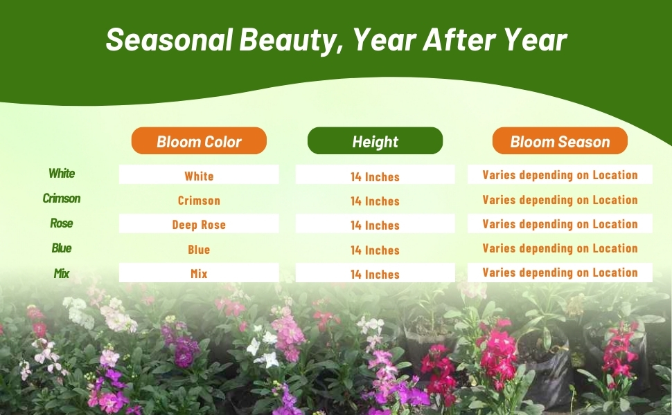 Bloom Color, Season, & Height Chart of Stock Plants