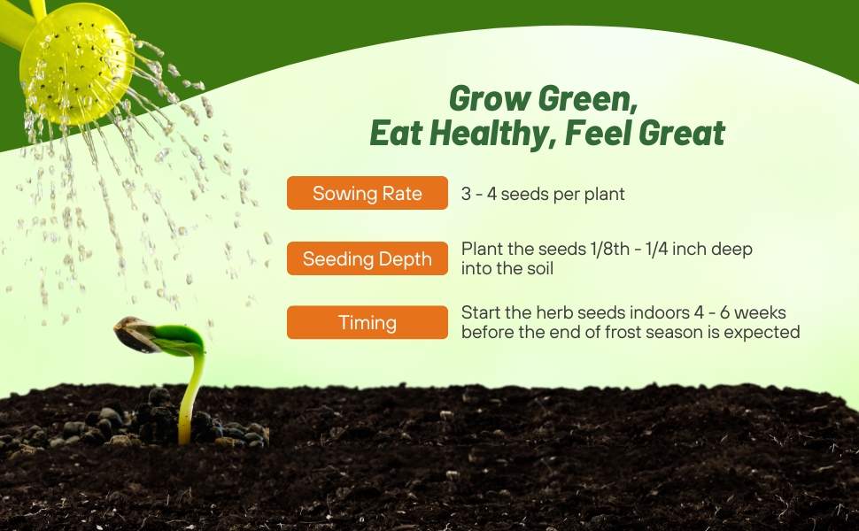 Sowing Rate & Planting Directions For Perilla Beefsteak Plant