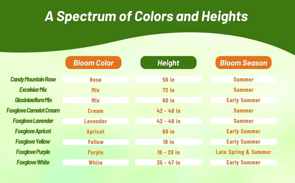 Foxglove Chart of Bloom Colors & Season