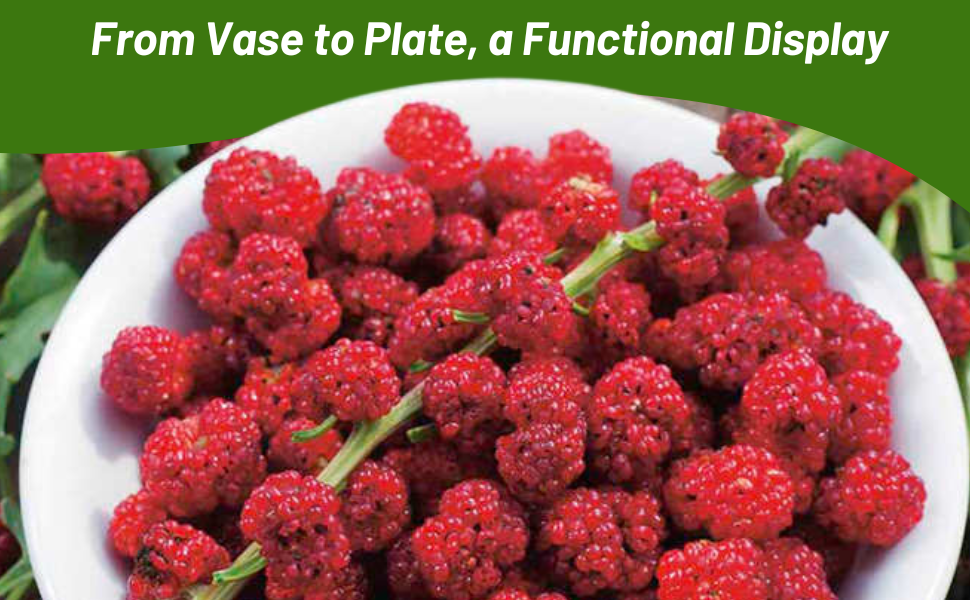 Bowl of Strawberry Spinach Edible Red Fruits