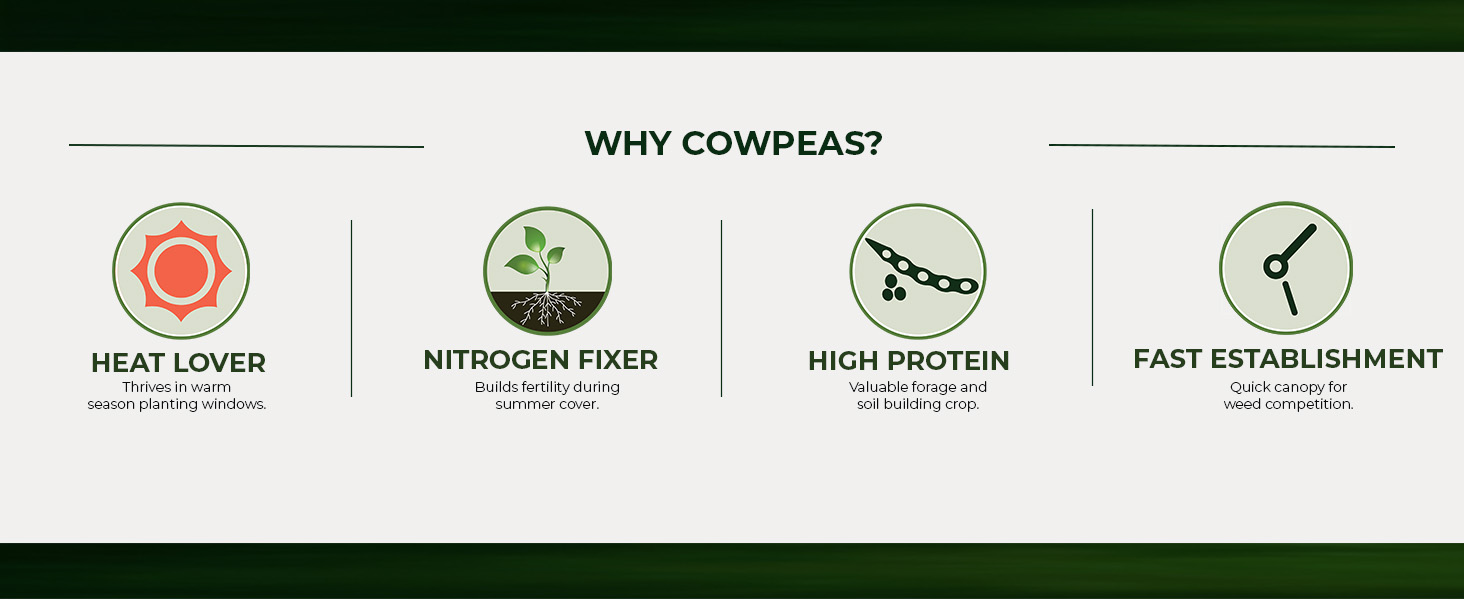 Cowpeas Warm Season Legume