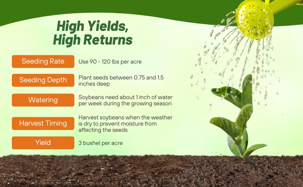 Planting Directions For Soybeans Seeds