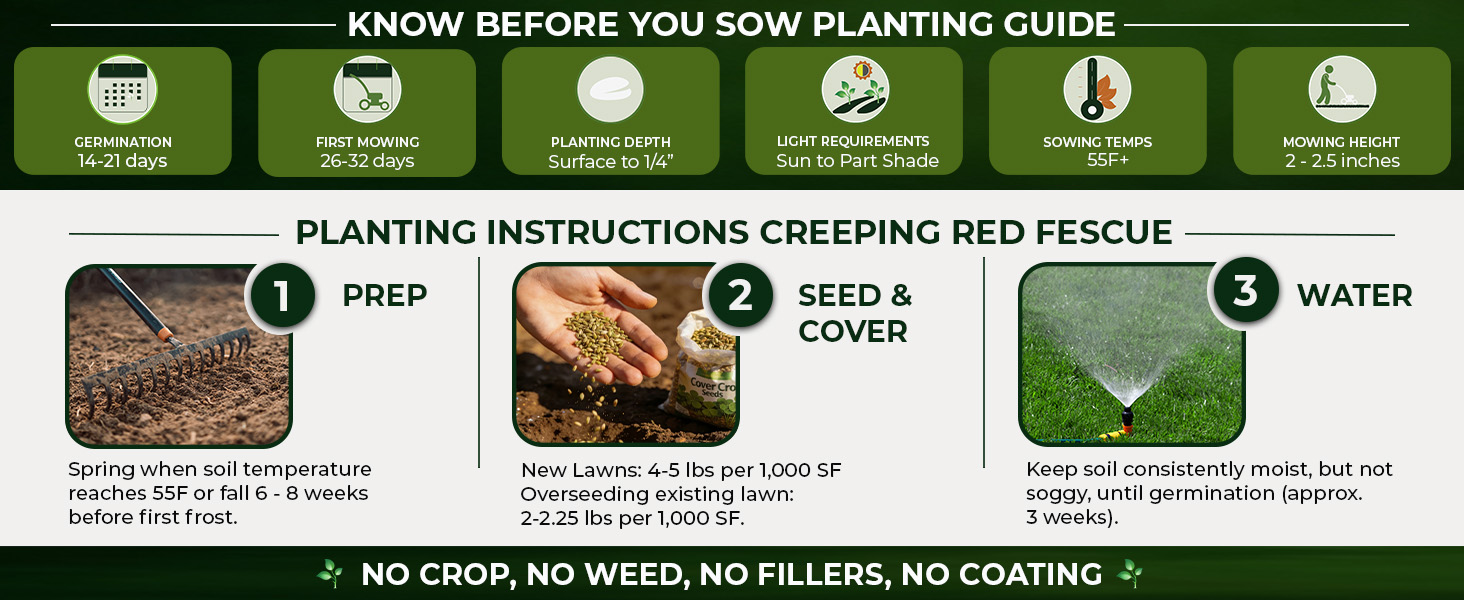 Sheeps Fescue Lawn Grass Seed Planting Directions