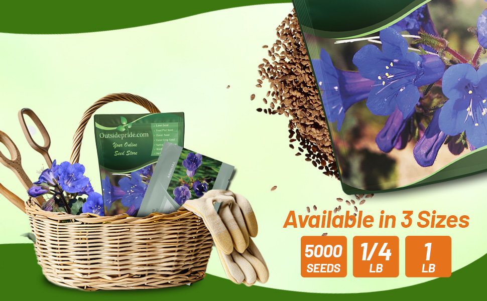 California Bluebell Seed Bag and Packet For Planting