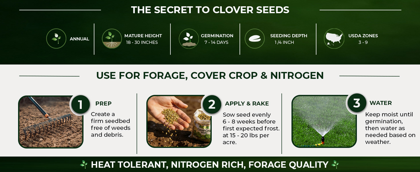 Planting Directions For Berseed Clover Seeds