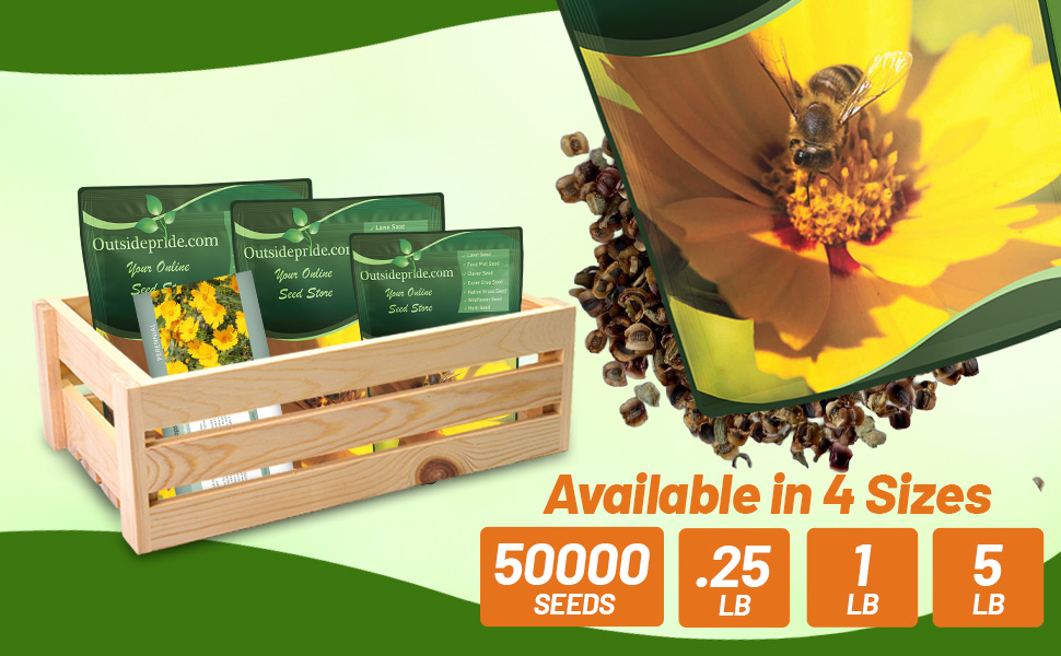 Lance Leaved Coreopsis Seed Bag For Planting