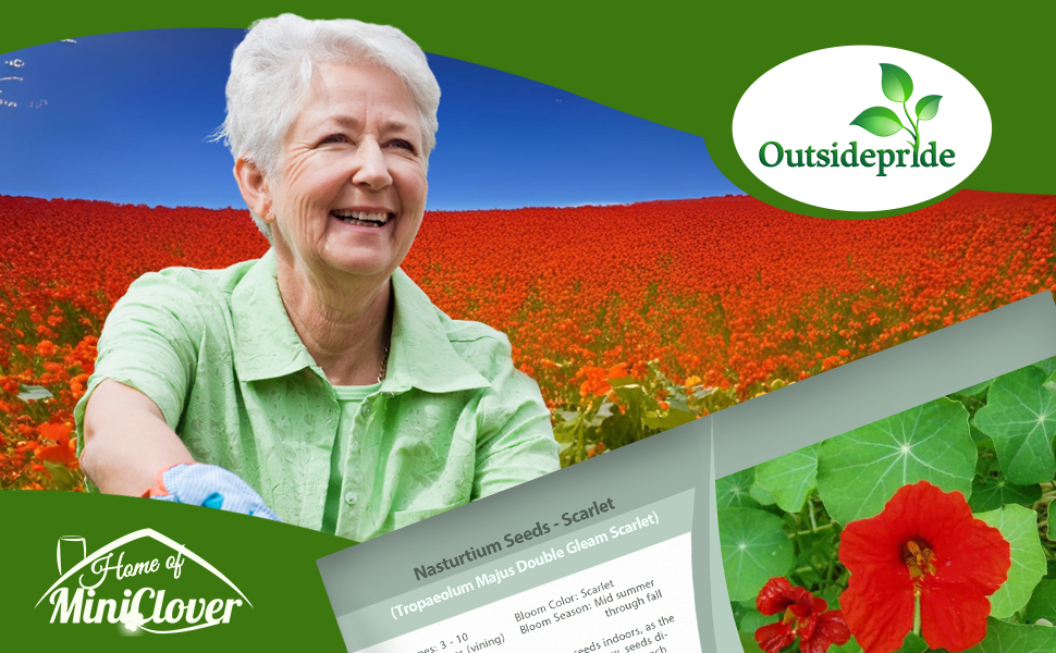 Scarlet Nasturtium Flower Garden