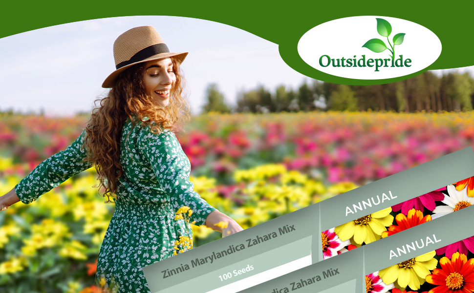 Outsidepride 50 Seeds Annual Zinnia Marylandica Zahara Flower Seed Mix for Planting