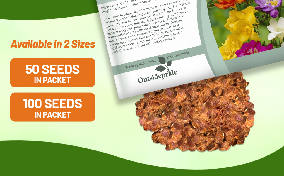 Freesia Flower Seed Packet For Sale