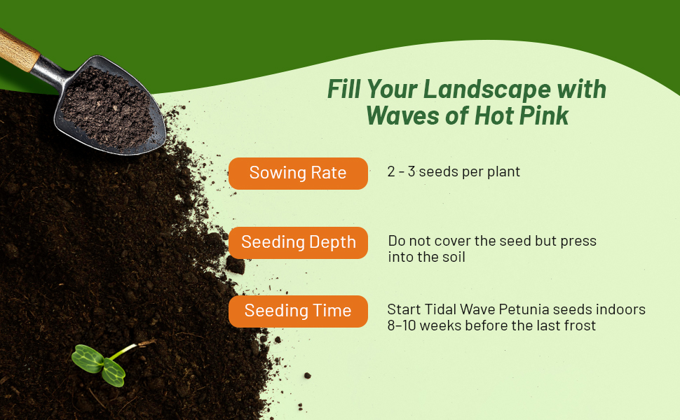 Sowing Rate & Seeding Time for Tidal Wave Petunia