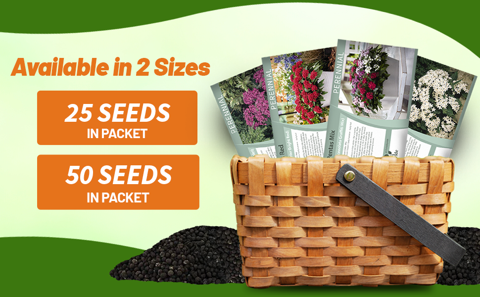 Pentas Flower Seed Packets For Sale