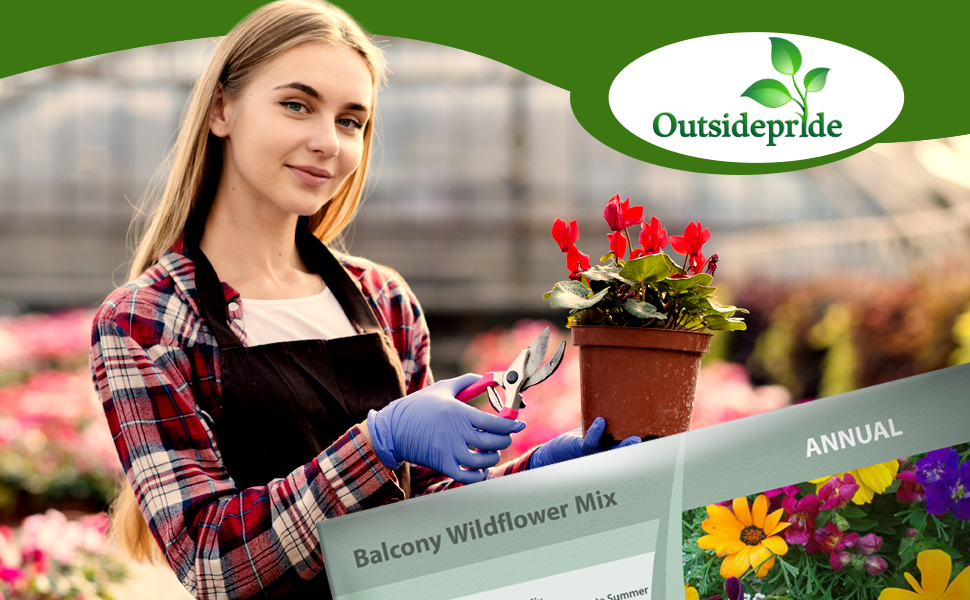 Flower Seeds For Apartment Balconies