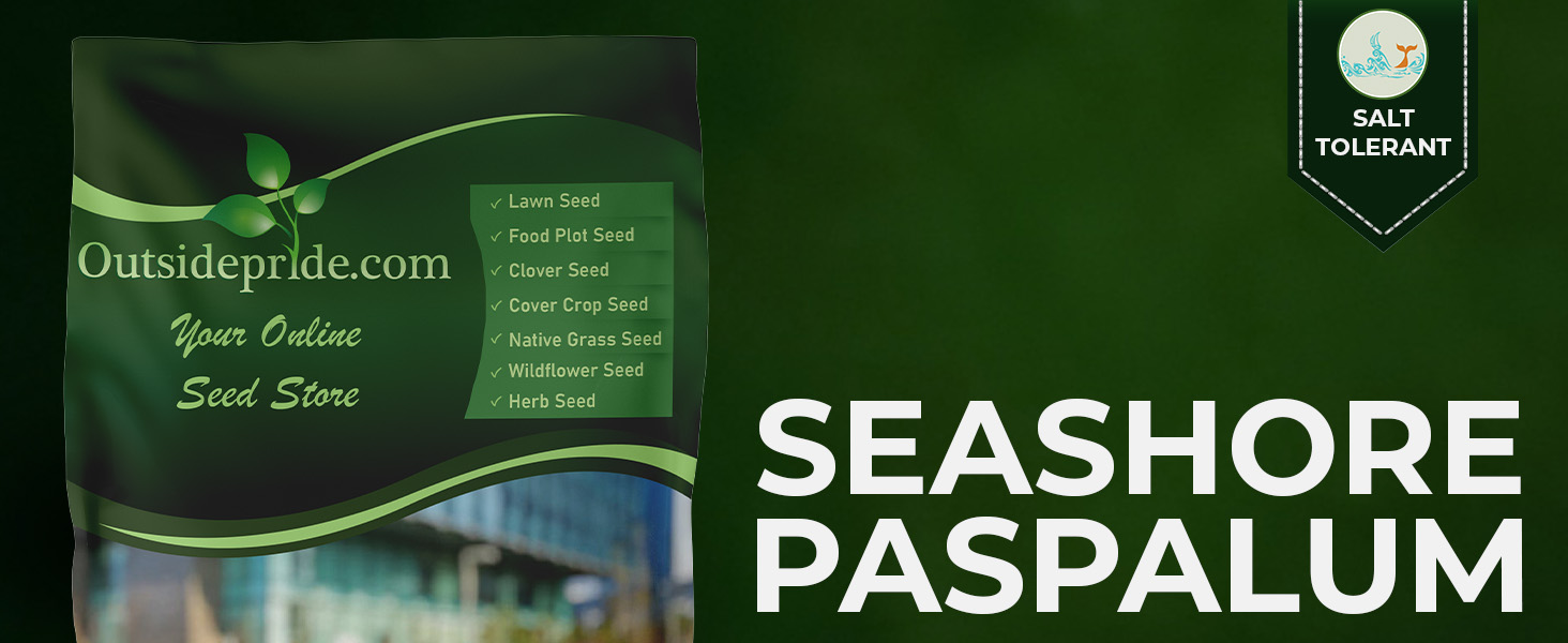 Seashore Paspalum