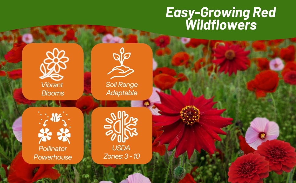 Red Wildflower Seeds For Planting & Pollinating