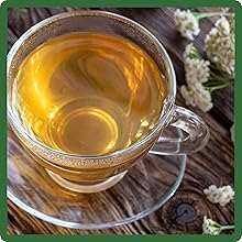 Achillea Wild White Yarrow Tea