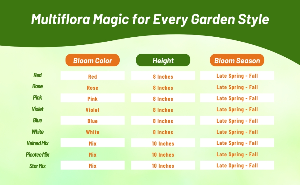 Petunia Multiflora Bloom Season, Color, & Height Chart for Varieties
