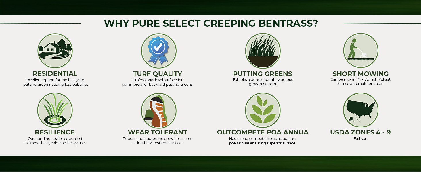 Pure Select For Putting Greens