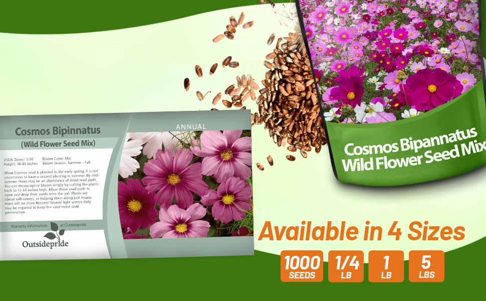 Bulk Cosmos Bipinnatus Sensation Flower Seed Bag For Sale