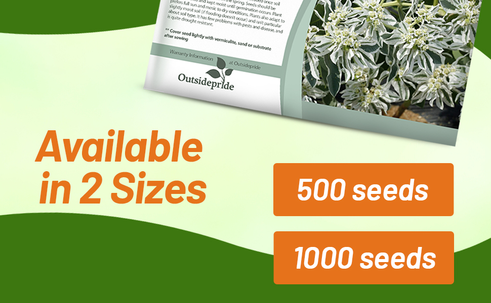 Euphorbia Snow on the Mountain Seed Packets