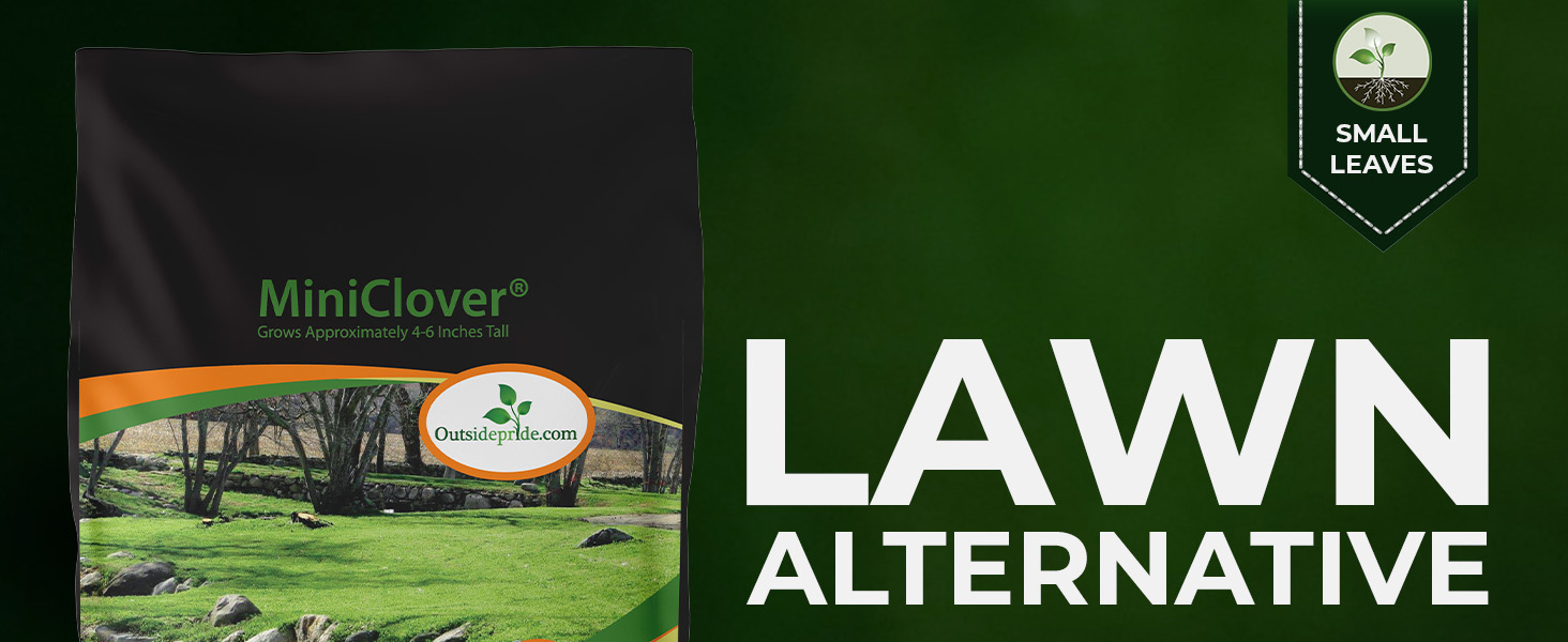 Miniclover Seeds