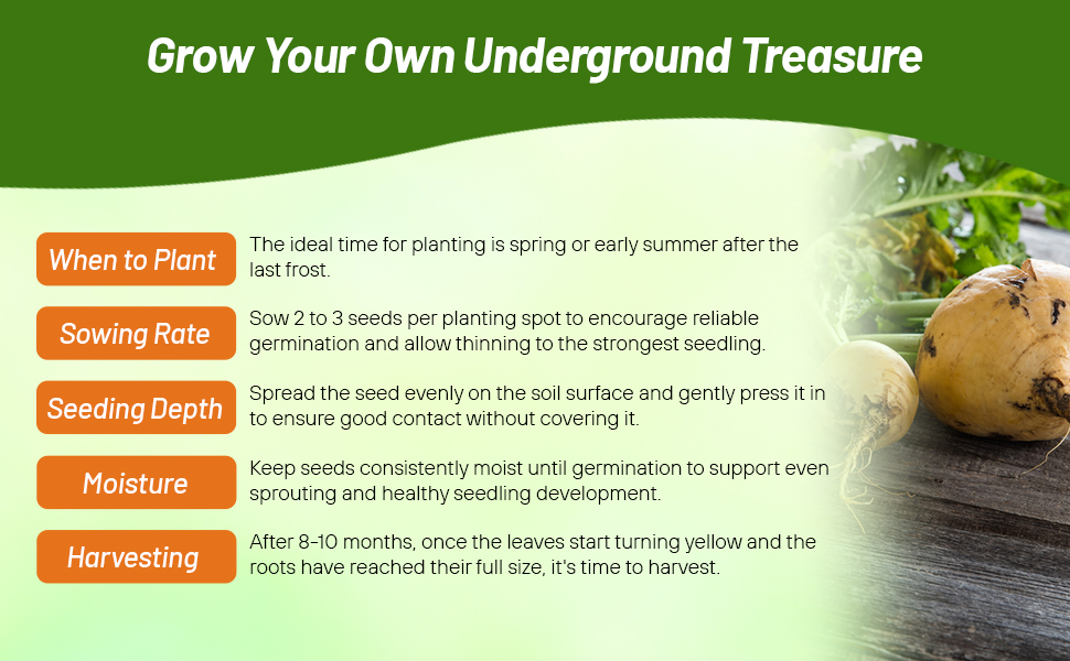 Sowing Rate & Planting Directions For Maca