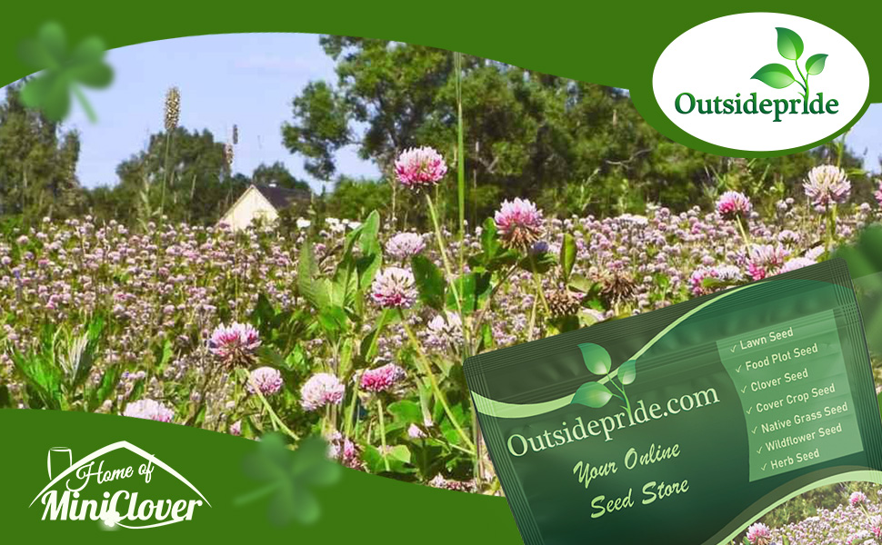 Man In Alsike Clover Field With Bulk Seed Bag For Planting