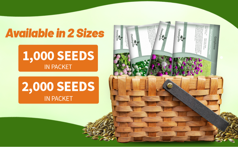 Gomphrena Globosa Seed Packets For Planting