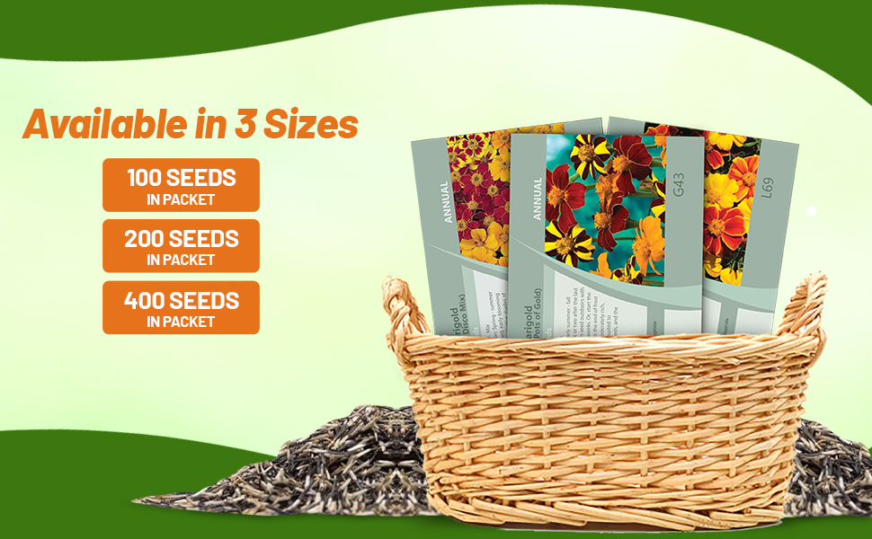 Tagetes Patula French Marigold Seed Packets in Basket