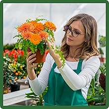 Low Maintenance Orange Flowers