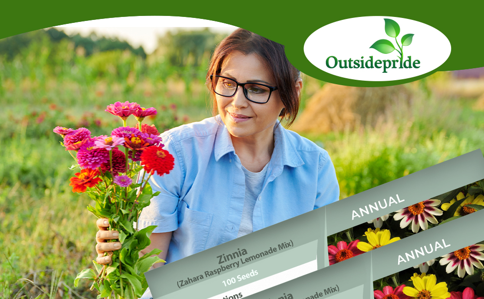 Outsidepride 50 Seeds Annual Zinnia Marylandica Zahara Raspberry Lemonade Flowers for Planting