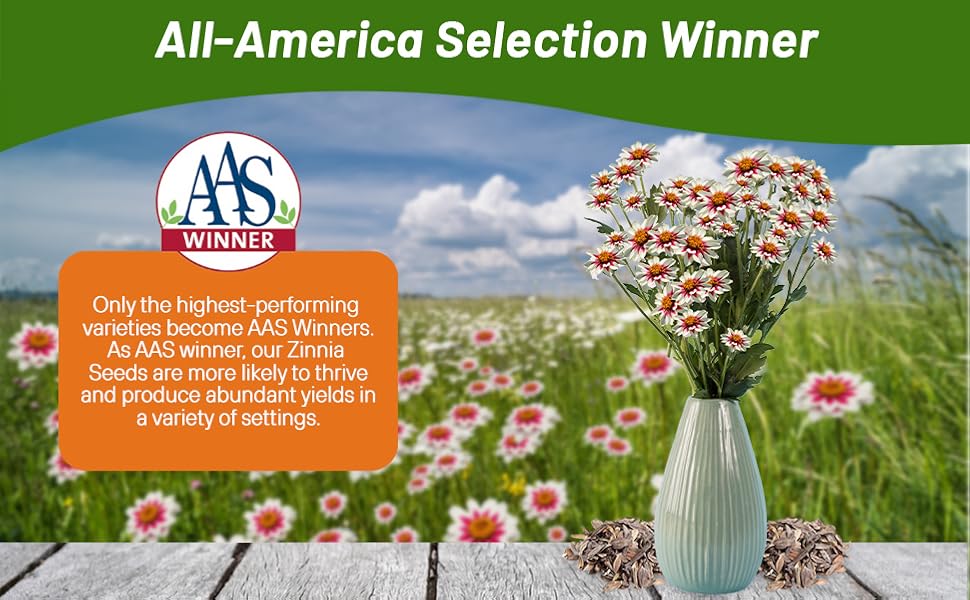 All American Selection Winner Zinnia Zahara Rose Starlight Flower