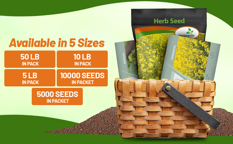 Mustard Seed Packets For Sale and Bulk Bag