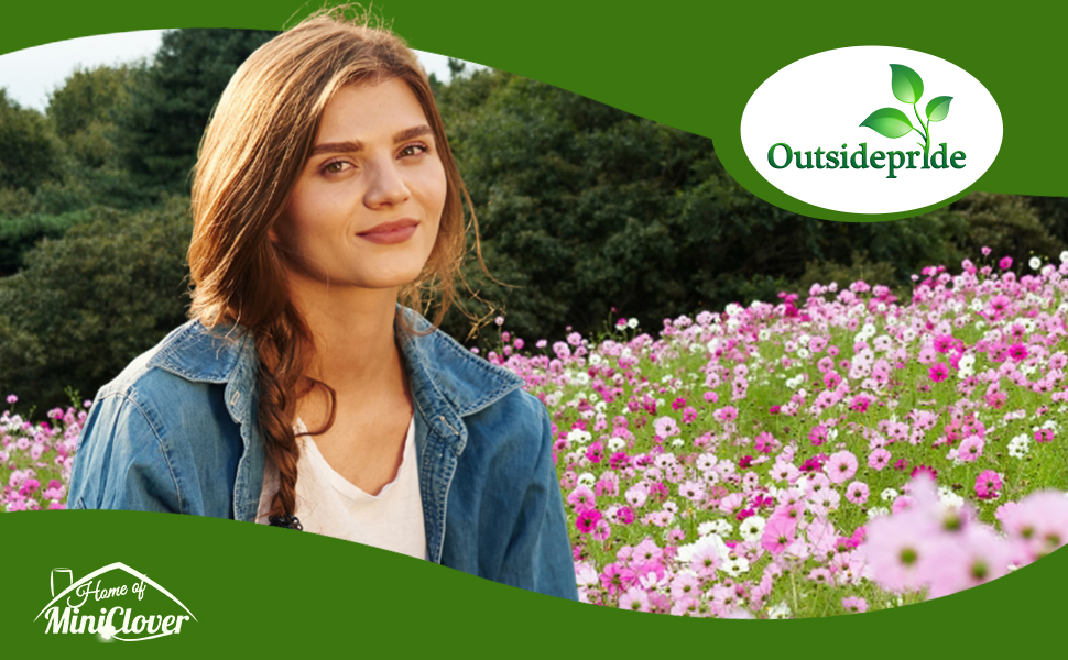 Cosmos Wildflower Seed Mixture