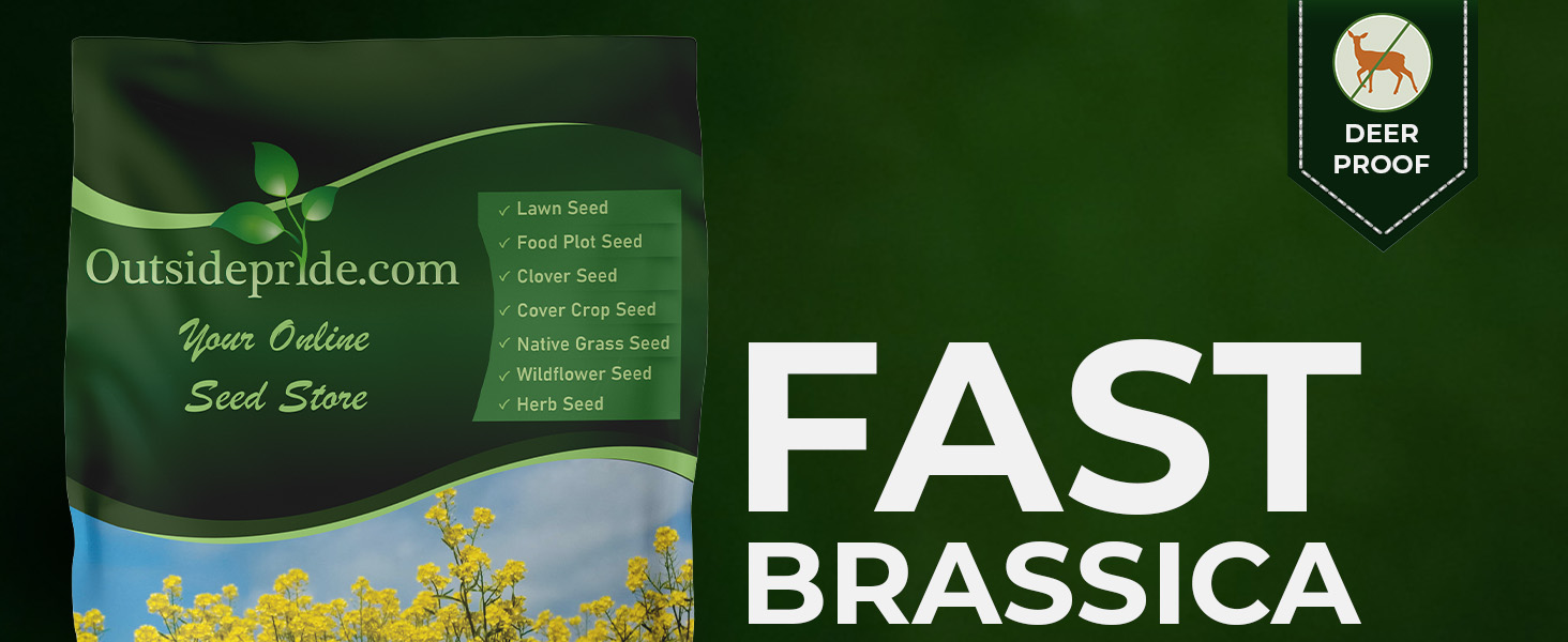 White Mustard