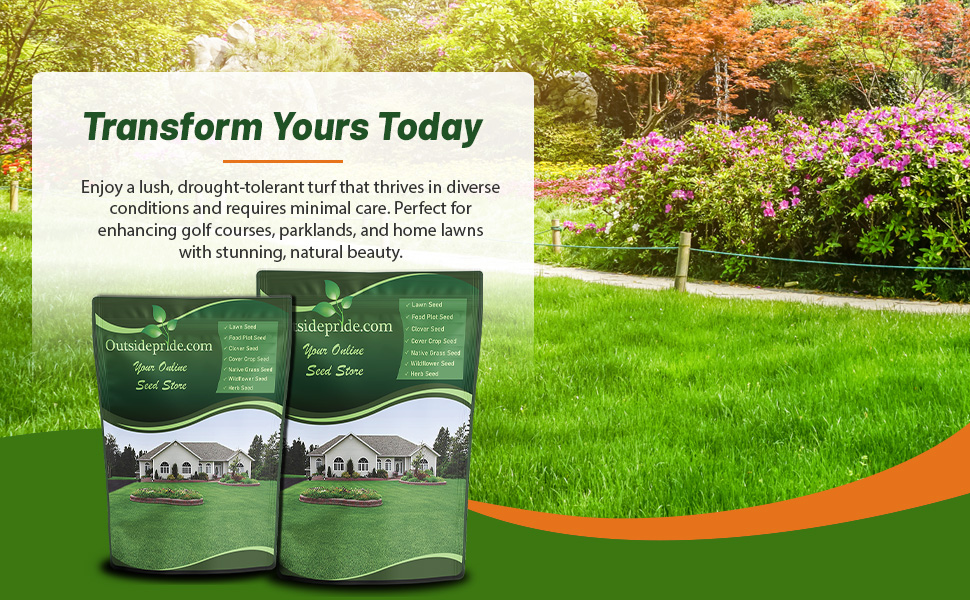 Minimal Care Buffalo Lawn Grass Seed For Low Maintenance Applications