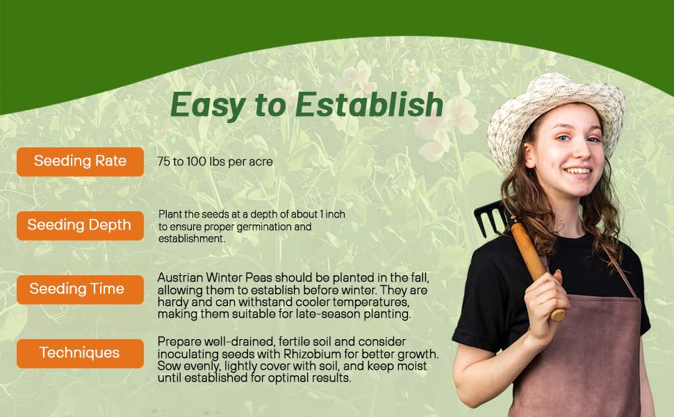 Planting Directions for Austrian Winter Peas Cover Crop  