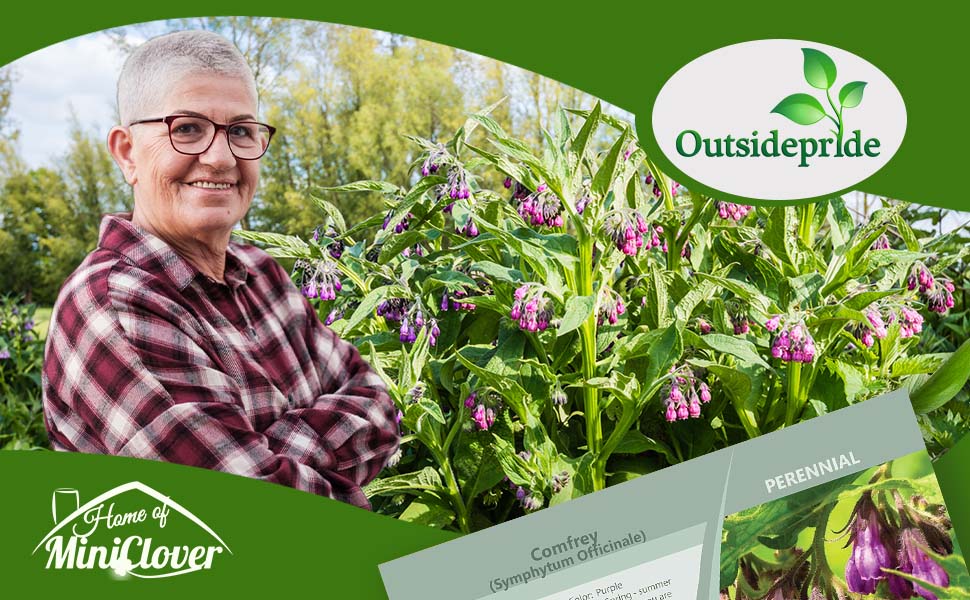 Comfrey Herb Garden