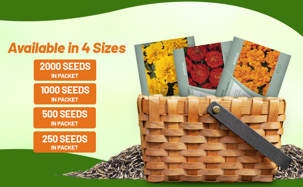 Baskket of Tagetes Patula French Marigold Flower Seed Packets