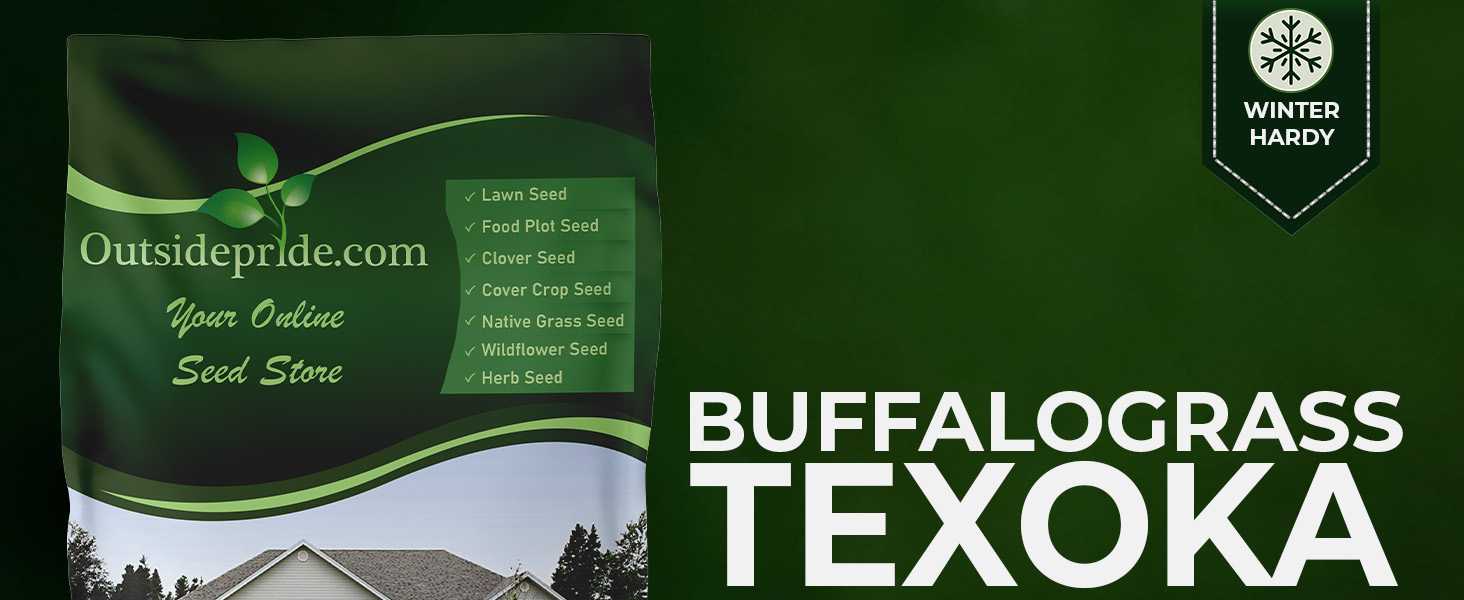 Texoka Buffalo Grass