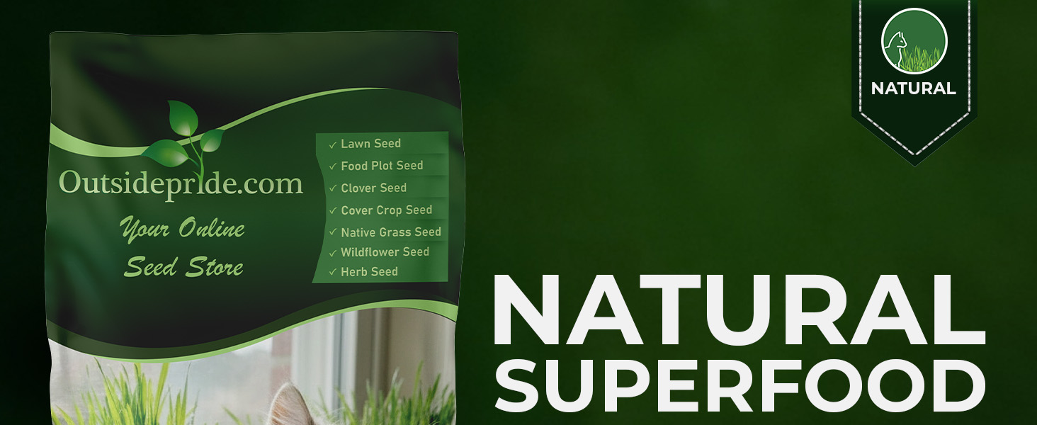 Cat Grass