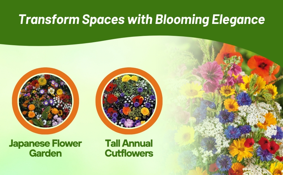 Japanese Flower Garden & Tall Annual Cut Wild Flowers
