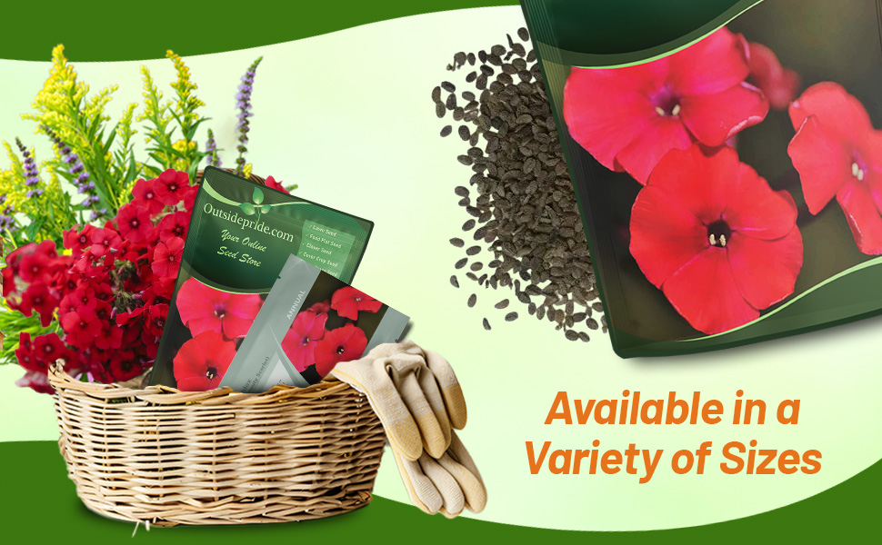 Scarlet Phlox Seed Packet & Bulk Bag For Planting