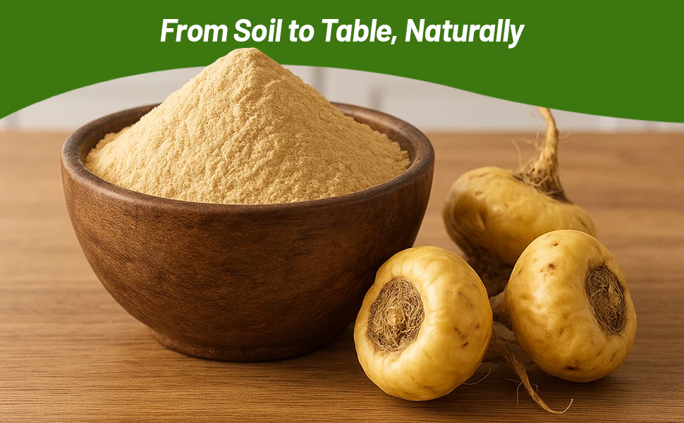 Maca Bulbs Ground Up Into Powder In Bowl