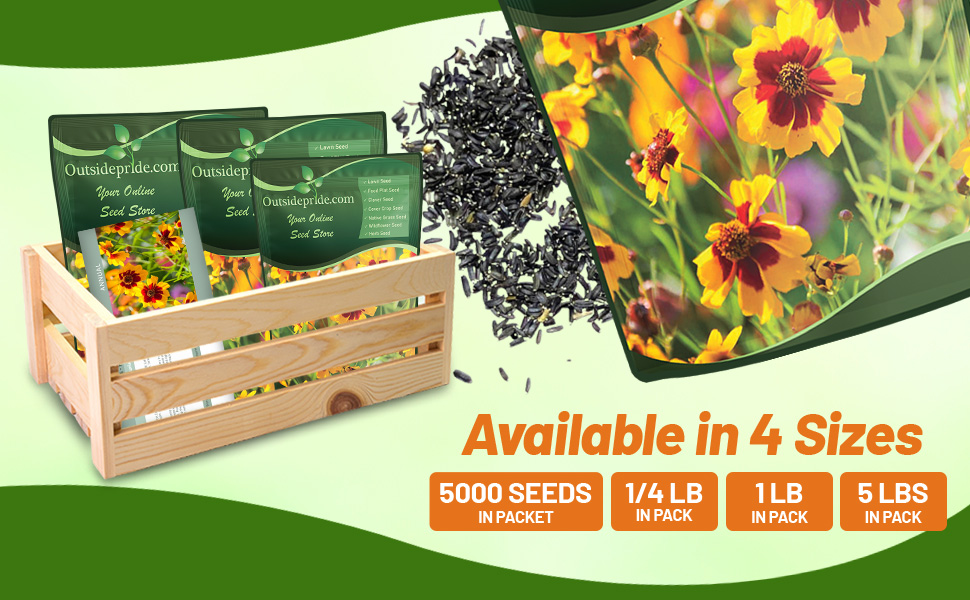 Plains Coreopsis Seed Bag For Planting