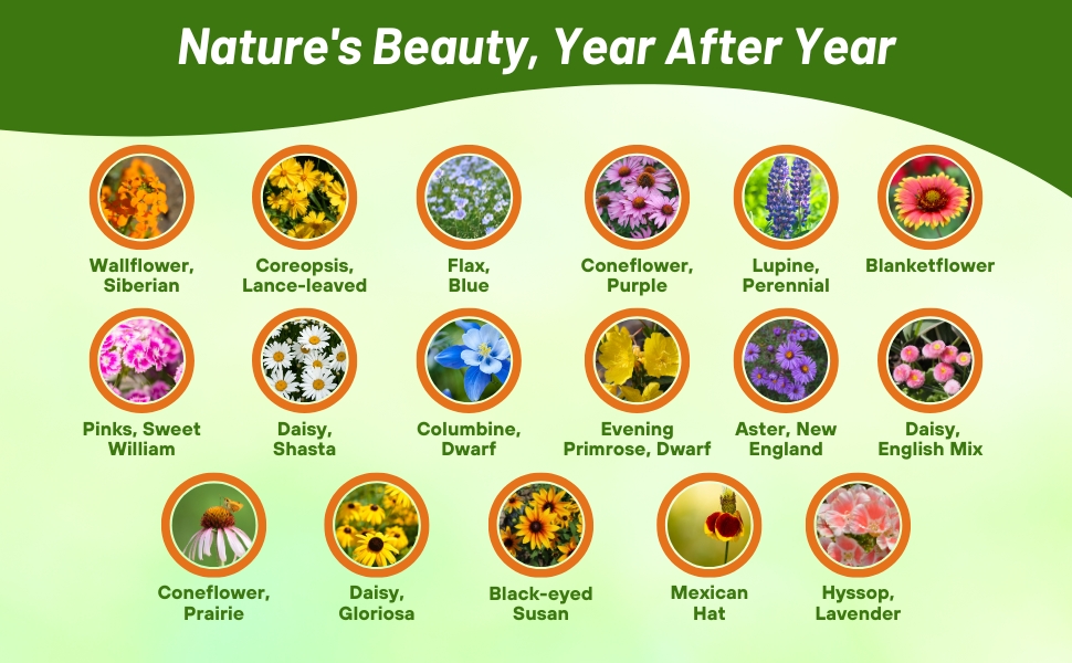 Flower Varieties In Perennial Wildflower Seed Mixture
