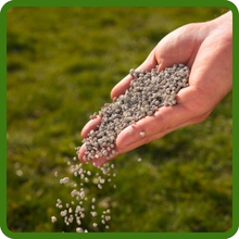 Heat Tolerant Great Plains Native Grass Seed Mixture