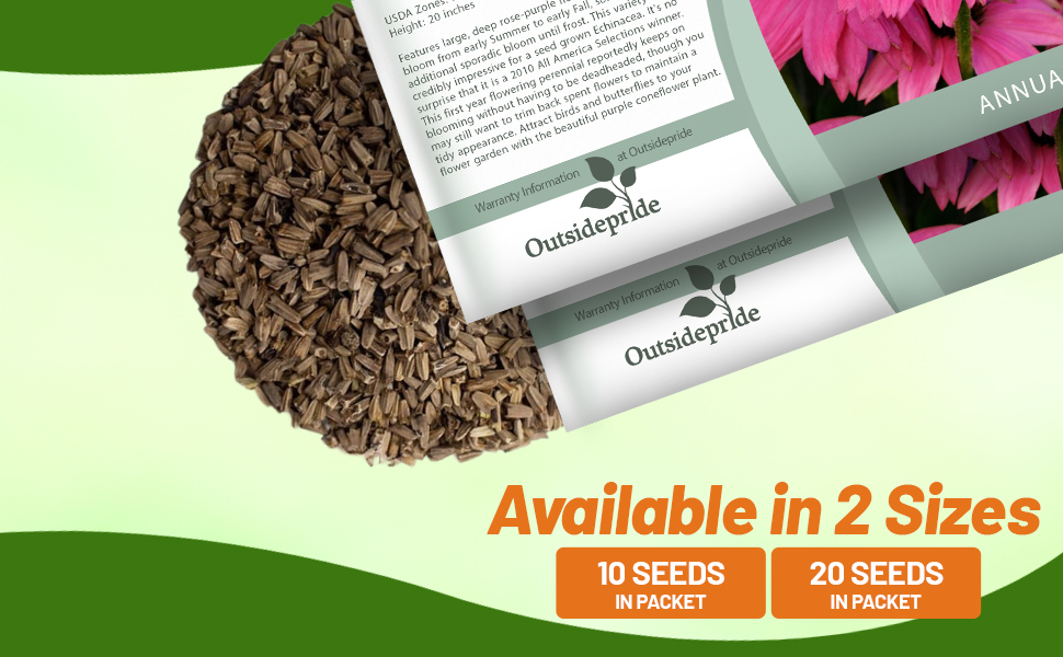 Echinacea Pow Wow Wild Berry Purple Coneflower Flower Seed Packet