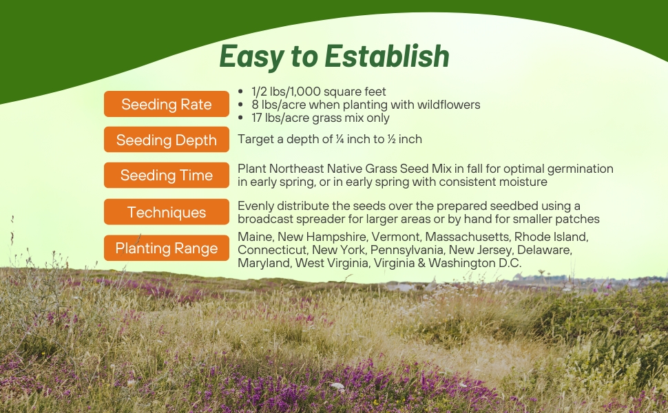 Planting Directions For NE Native Grass Seed Mix